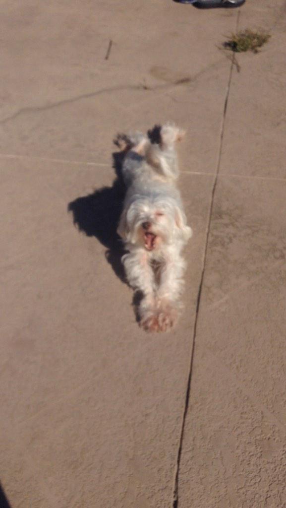 BDefronzo's tweet image. 