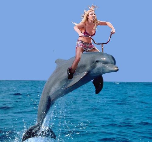 Rt <a href="/jeffrey_ventre/">Jeffrey Ventre</a>: <a href="/simonsam/">Sam Simon</a>  ~ shows just how dumb and out of touch she is! Send her some pics of Taiji!