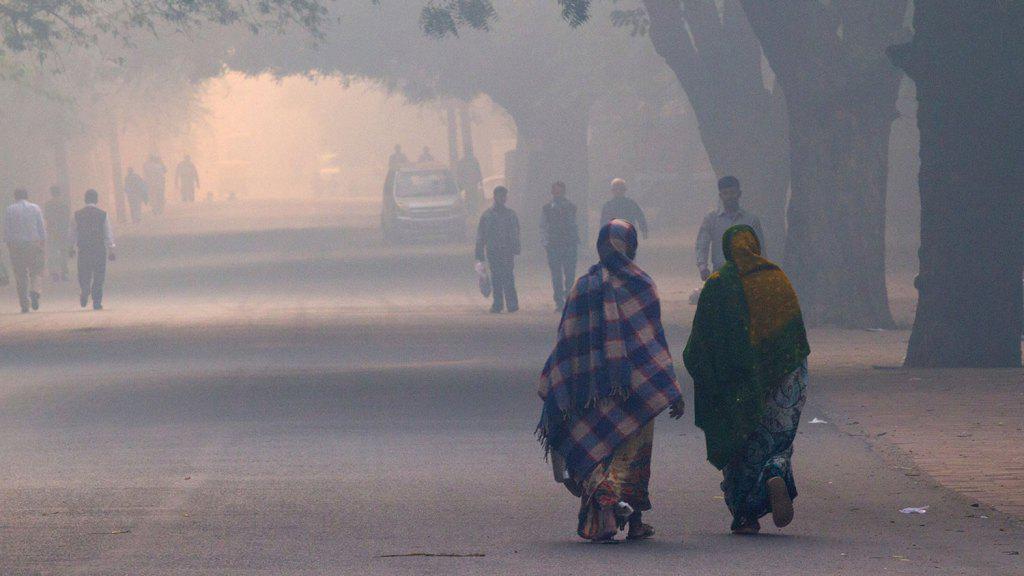 grist's tweet photo. Care about global climate change? Then fight local air pollution http://t.co/kBk6yDCPfB http://t.co/KllDx0syRO