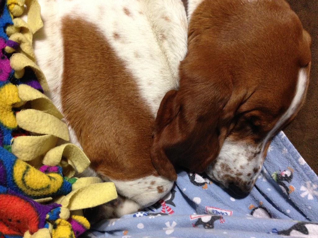 CometSnuggles's tweet image. Good night....I'm gonna dream of my little sister #6dayscountdown