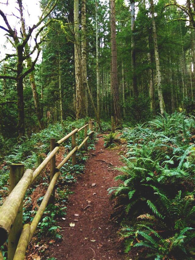 teeburnee's tweet image. “@lprazoIam: Places I'd rather be: http://t.co/Pc3CnV1rwR” I've been to the bottom right one :)