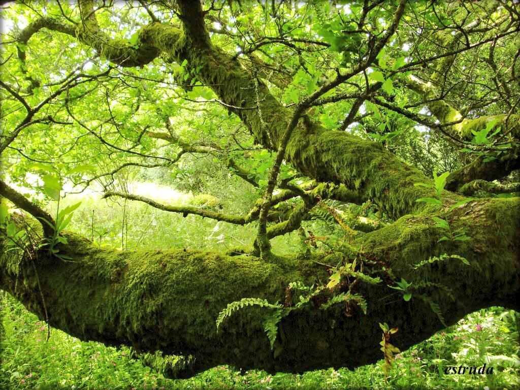 teeburnee's tweet image. “@lprazoIam: Places I'd rather be: http://t.co/Pc3CnV1rwR” I've been to the bottom right one :)