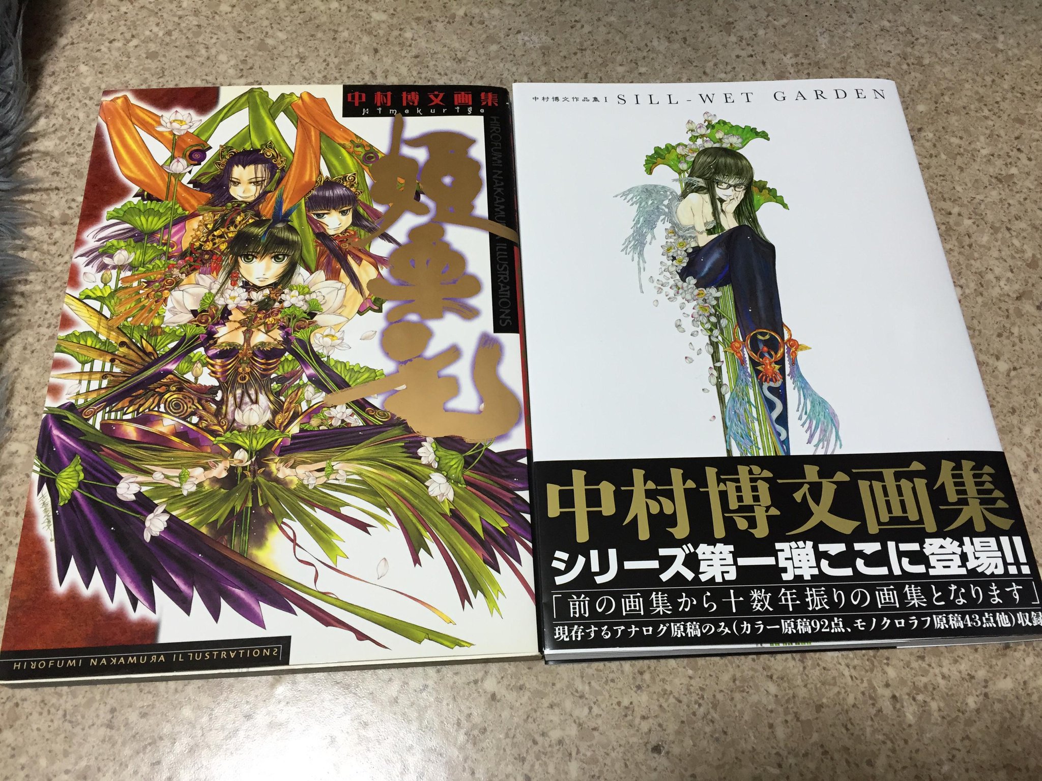 土屋つかさ そしてついに刊行された中村博文さんの新画集 中村博文作品集 Sill Wet Garden 発刊おめでとうございます 前作 姫栗毛 から14年 14年 作品集２が出るのはいつですかハリーハリー Http T Co 4alcek9dok Twitter