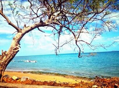 Mayotte 🇾🇹 tweet media