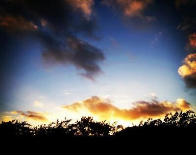 Mayotte 🇾🇹 tweet media