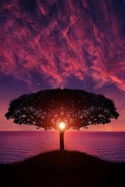 CindyMarkus's tweet photo. New day- new beginning http://t.co/bc32cdGFkq