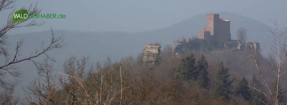 waldliebhaber's tweet photo. Jetzt mit Bild! Auf bald im Wald um den Trifels im #pfälzerwald bei #annweiler Followtipp: @Trifelsland http://t.co/fhmyNimflA