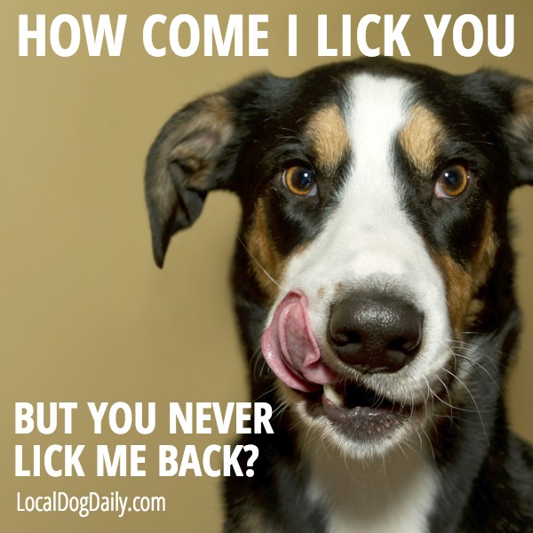 Because it's Monday morning...and we all need a smile! : ) LocalDogDaily.com #dogs #LOL #DogKisses