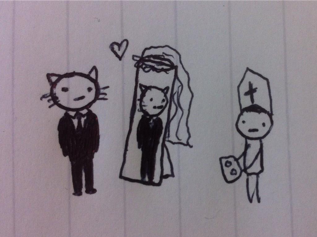 Cat marrying his soul  mate