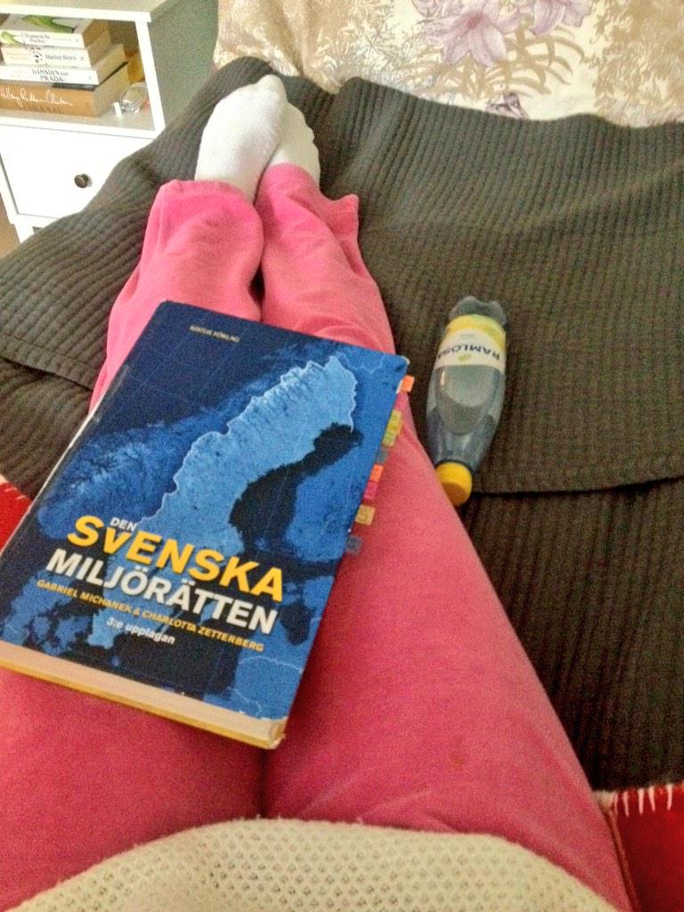 Linde93's tweet image. Nu tjuvstartar jag tentap!📚 #miljörätt #tentap #pluggdag #ltu