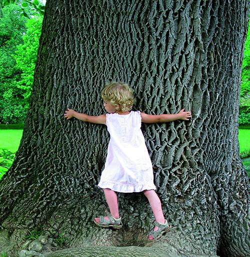 Wist je dat meerlagenparket 4 keer minder nobel hout nodig heeft? #parket