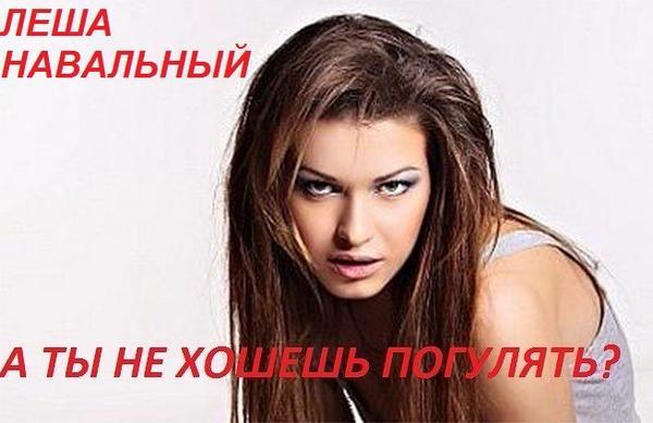 nashasety's tweet photo. Лёша, а ты не хочешь погулять? http://t.co/MuvomX87u3