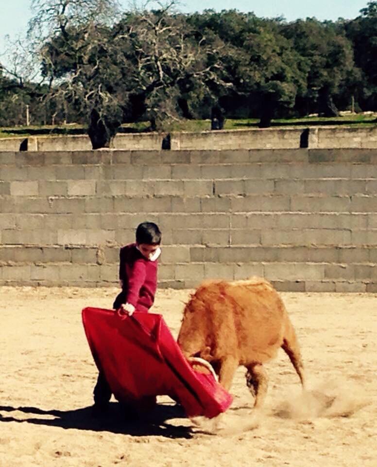 karlakalua_'s tweet photo. #silosniñosalostoros @acirfiestabrava http://t.co/hXbCqAKQ7Q