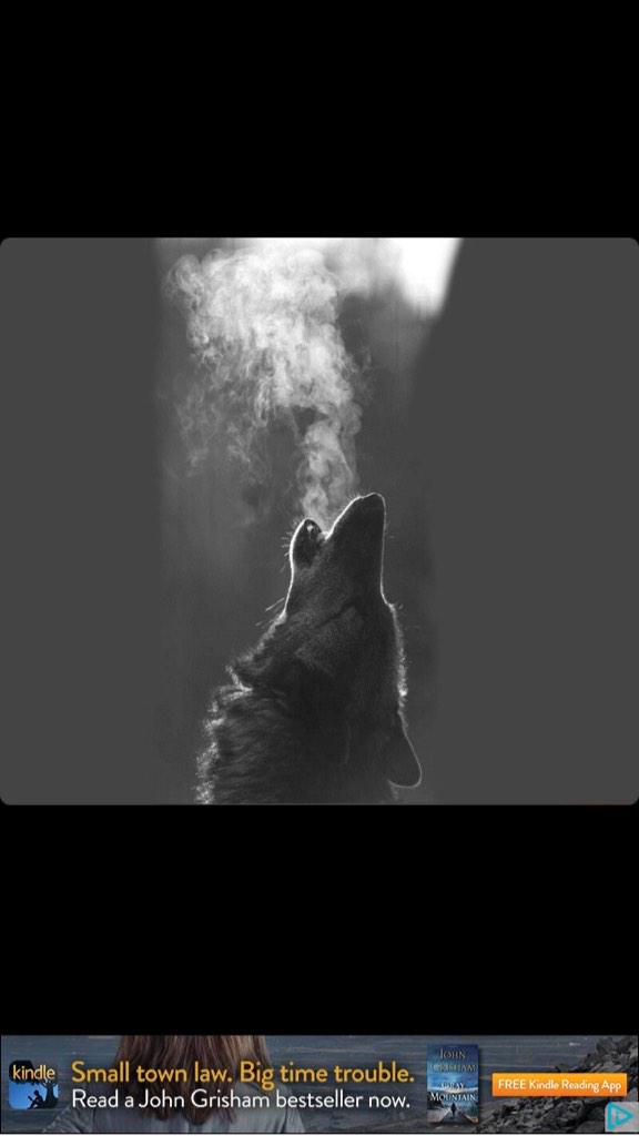 Skyjones63's tweet photo. Redwolves out this morning working! We can take the cold!  Can you? #riseandgrind #BuildingAMonster http://t.co/nqm38e4jTs