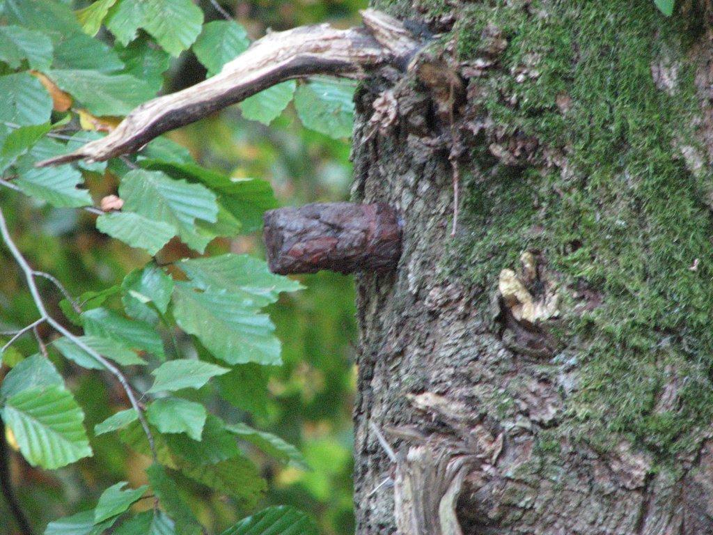 DerGolfSierra's tweet photo. Cache of the day! @Geocaching_Pics #geocaching http://t.co/BufjmHN6xR