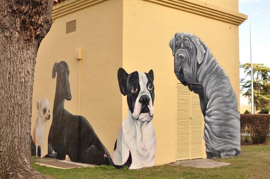 wikiCR's tweet photo. Una esquina de la ronda de Calatrava se llena de perros :) http://t.co/XSZQY8dQDF http://t.co/hOyjEzLGIG