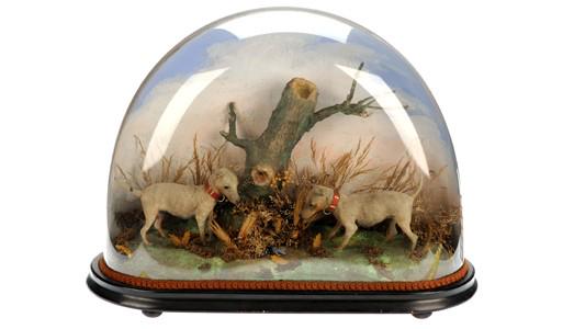 CuriosityTweet's tweet photo. Here is one to start you off from the @HornimanMuseum http://t.co/hXY9qefAA6 Victorian fakery with #miniobjects Dogs! http://t.co/rELZT9gkIW