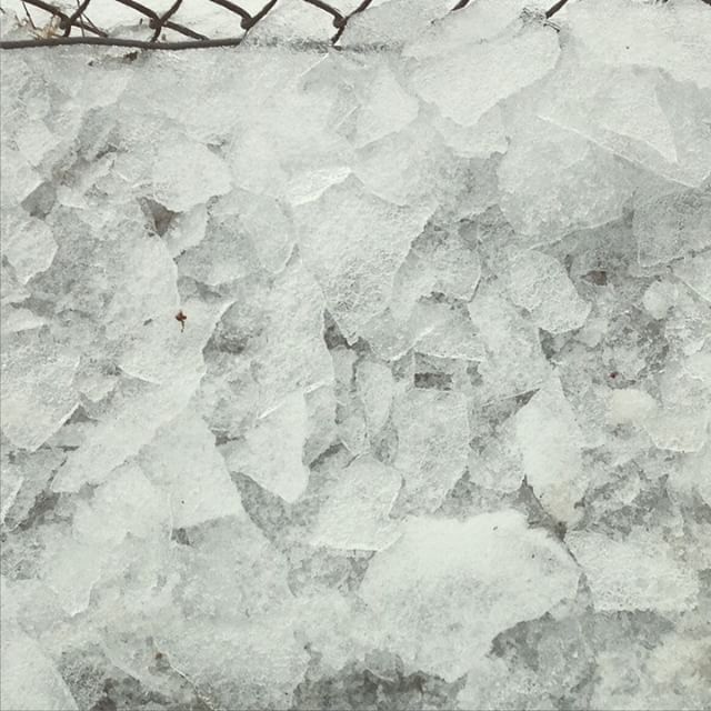 jellybell's tweet image. My walk to the #SEPTA train was too exciting for this early in the day. #slipperyice #terrified