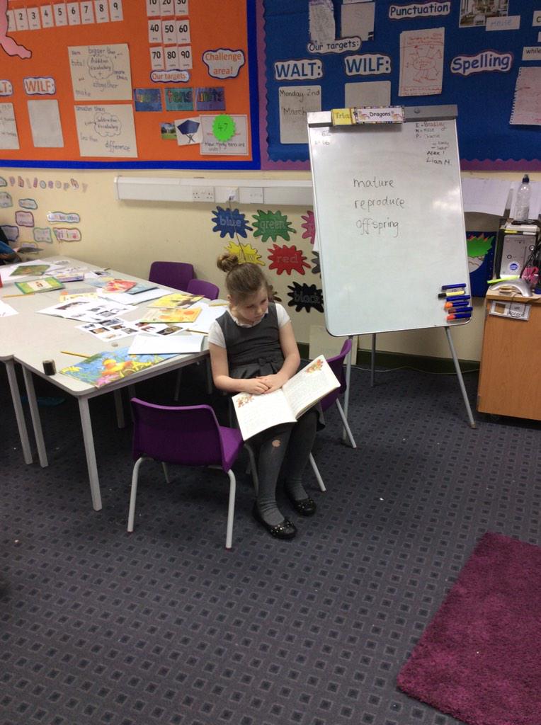 Mrsbennettfps's tweet photo. #@fazakprimary @MrsCarterfps #DEARTIME #WorldBookDay http://t.co/ZY8EIbSSvL