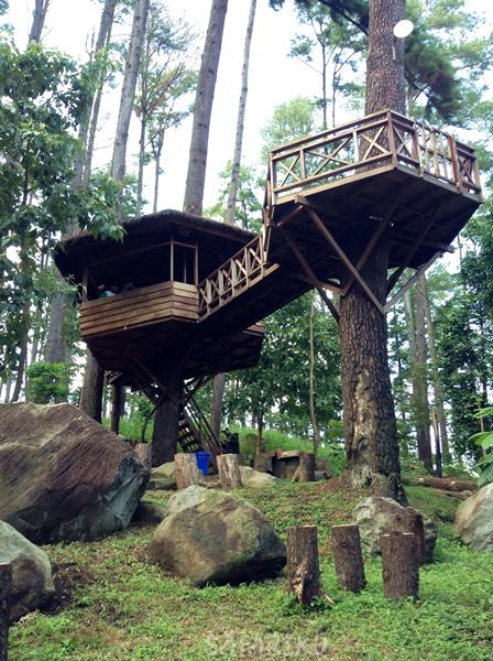 sinarpembaruan's tweet photo. Rumah Pohon Tahura, wisata transit d jln BNA-Medan KM 76, http://t.co/gLuTIL8Dur  http://t.co/HtYO2kN73o #ExploreAceh foto by Safarikoe