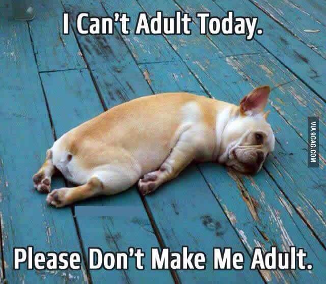 calynboyd's tweet image. At least my body waited until after #Sing2015 to get sick, sorry @Prof_Damron #css3311