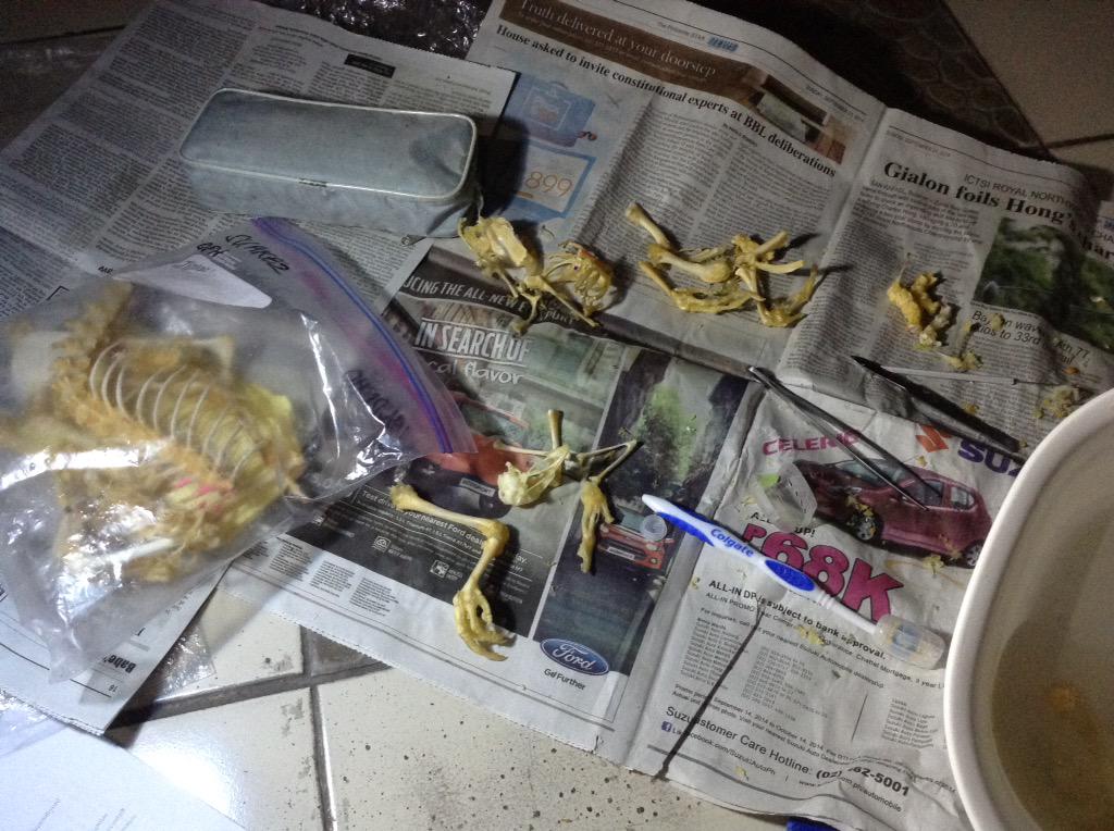 klarongperlas's tweet image. Yung nanikit yung kakaibang amoy ng bones #Bio102