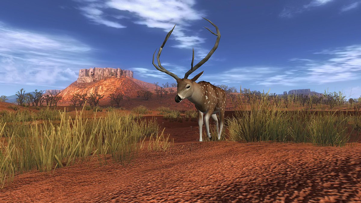 Kalti's tweet photo. @TheHunterGame Blending the lines between old &amp; current gen. hunting games :P
#thehunter #dh2005 http://t.co/KcqUMteRS9