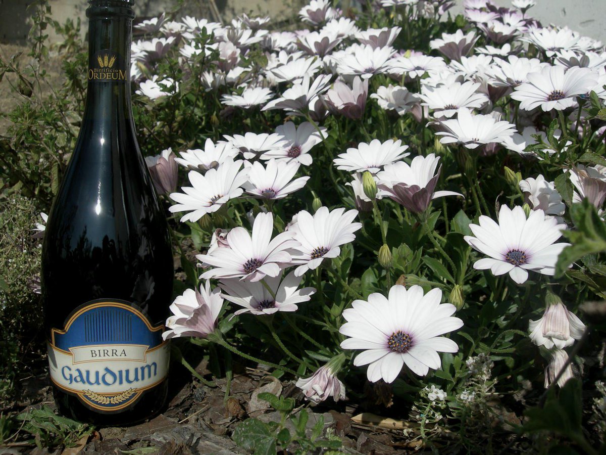 Excantia_IT's tweet image. Una passione per due fratelli: @BirraORDEUM, un #birrificio agricolo tra le colline d'Abruzzo. excantia.com/produttori/bir…