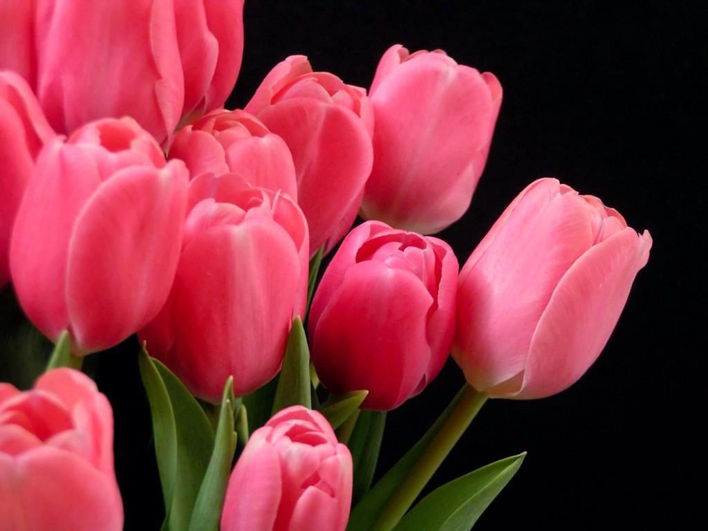 Happy birthday to Have a wonderful day! 