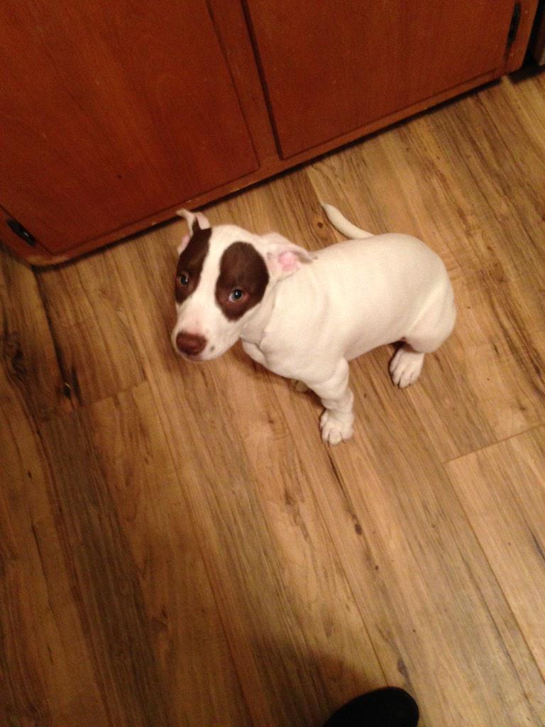 Christen Roper (@CRoper1895) | Twitter