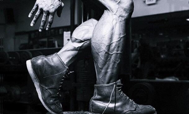 IronUniversity's tweet photo. Never. Forget. Your legs http://t.co/sQKrAlMeIM