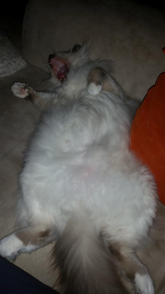 catou84's tweet photo. Good night friends! http://t.co/gvjaRnMvqp