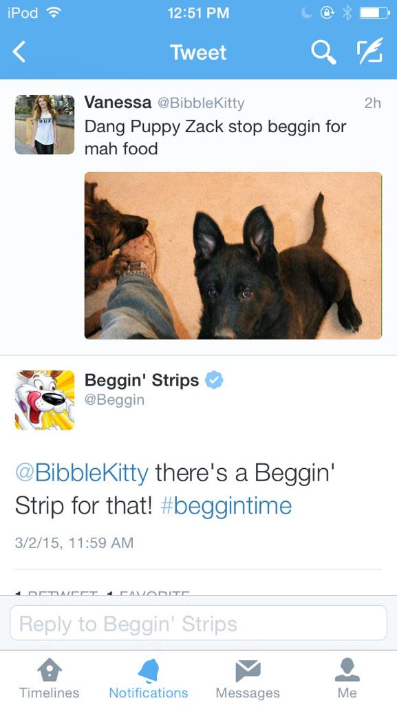 BibbleKitty tweet picture