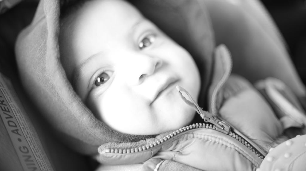 1BLURREDVISION's tweet photo. Photogenic babies lol http://t.co/98iKH7uT7g