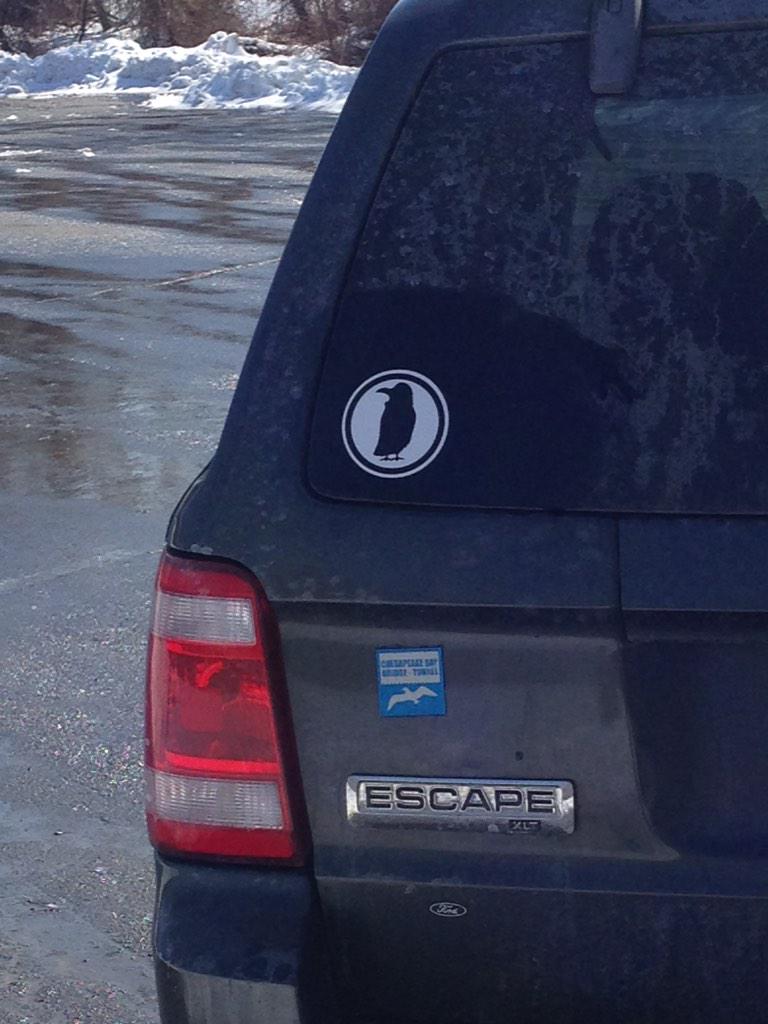 sorrybutnotever's tweet image. @rookcoffee @wegeva Cleaned a spot on my window and got #rooked today