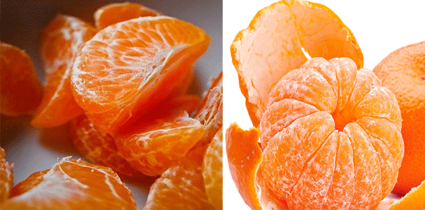 ProConsumidorRD's tweet photo. #NotiConsumo La mandarina rica en vitamina C, fibra y potasio:➔ http://t.co/F8agBWhJmT http://t.co/0aEtpMNCrz