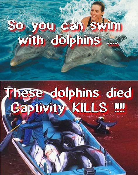 .<a href="/vmarianna73/">Vivian Marianna Leon</a> <a href="/simonsam/">Sam Simon</a> <a href="/jeffrey_ventre/">Jeffrey Ventre</a> ~ &amp; she was at the horrible #dolphins hell Las Vegas Mirage!!