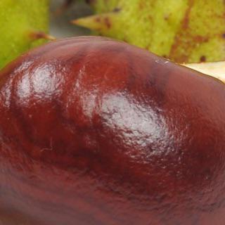 Wat is dit bit.ly/1qLkbza