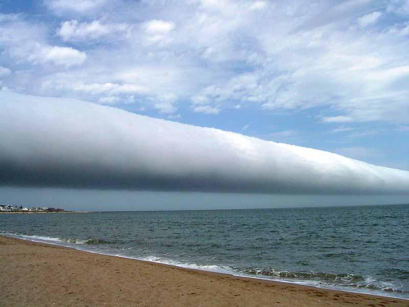 ComaConComilla's tweet photo. Esta nube de 1.000 km de largo por uno de alto, que se forma periódicamente sobre Australia, se llama GLORIA MATUTINA http://t.co/GxBUU4BOYQ