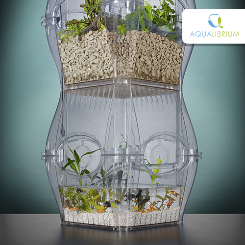 aqualibrium's tweet photo. We're happy to be a part of the Maximum Yield Indoor #Gardening Expo next week! #Aqualibrium  http://t.co/1Kb58tU43h http://t.co/sG7e46XVws