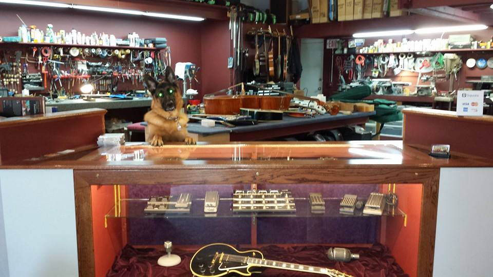 SmokinSleddog's tweet photo. #PinupPup of the week; Duke from @GuitarRemedies in Bloomington IL. Employee of the Month! #dogsoftwitter #dogs http://t.co/whMqlIyR4G