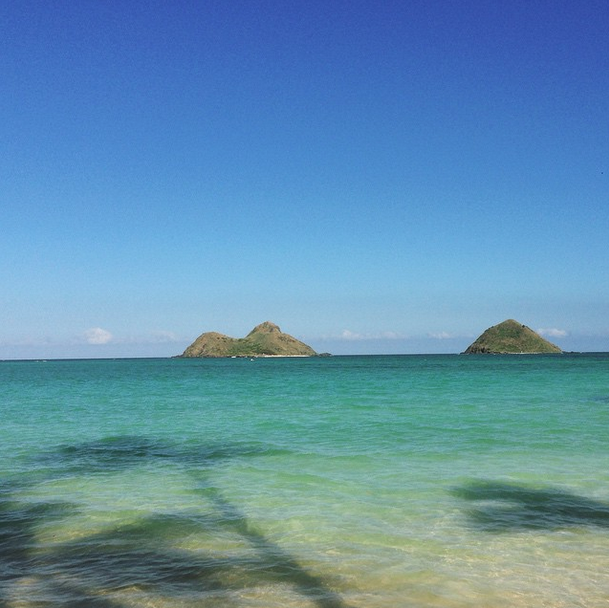 HerCampus's tweet photo. Post a pic of your spring break on Insta using #HCSpringBreak for a chance to win a Spring Break Survival Kit! http://t.co/nyP9iXA10Q