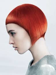 Anna Pacitto (@amp238) on Twitter photo 