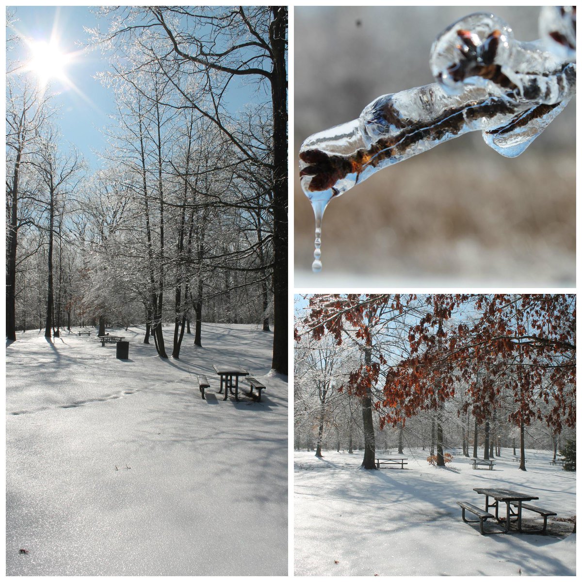 #IceStorm2015 made for some beautiful icy photos at Quiet Waters Park this morning <a href="/RecParks/">AA Co. Rec & Parks</a>