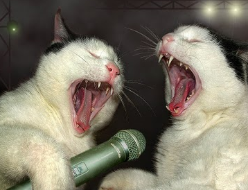 SUGroovestand's tweet photo. Hey #RotoloClass, know what’s cooler than FourSquare? A cappella. Check us out: https://t.co/61bSy0nmrL http://t.co/4VWszFU8HA