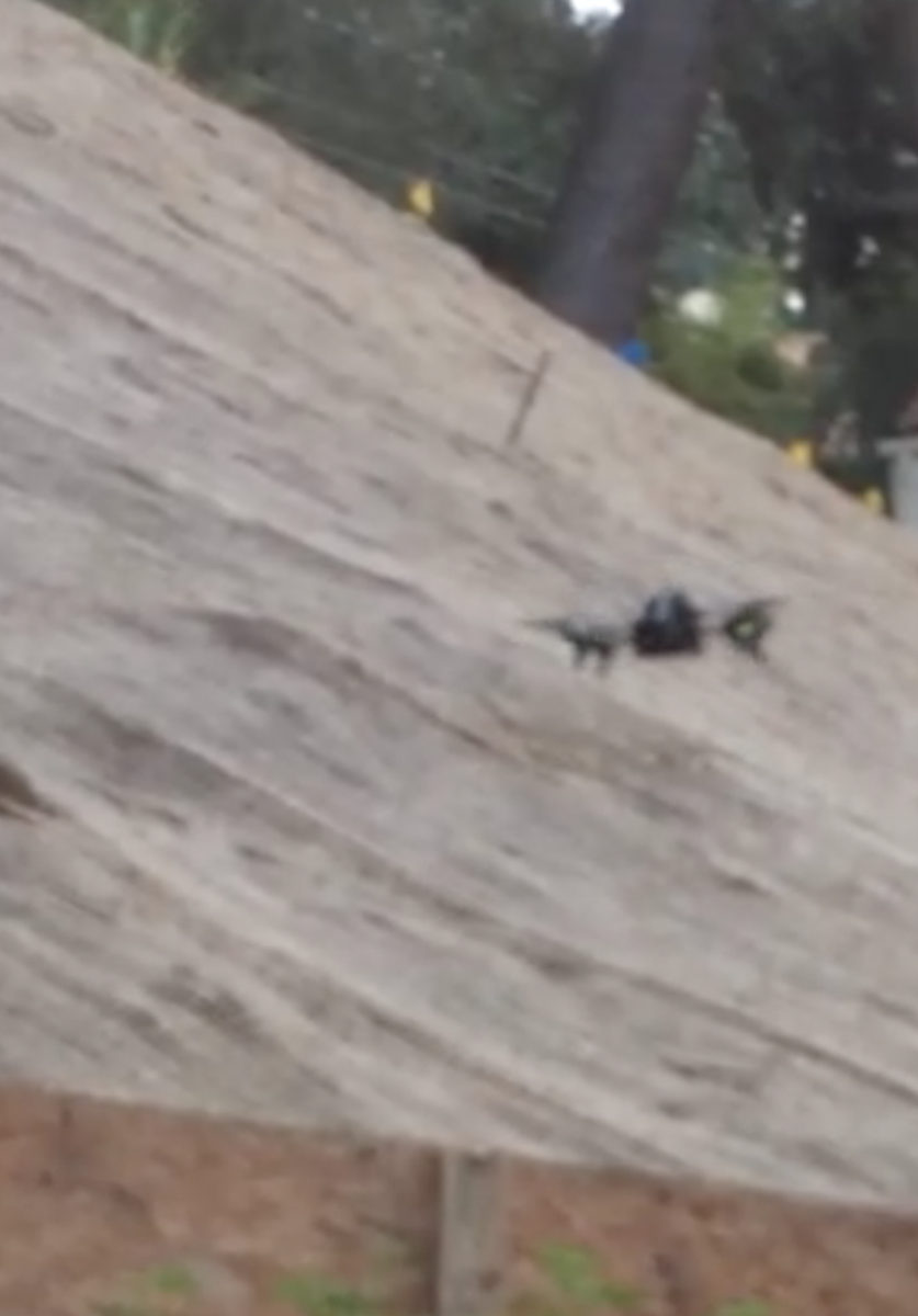 mishacollins's tweet photo. Dear fan, voyeur, or hostile government, get your drone out of my yard or I will bring it down by force. #dronewar http://t.co/FKkFKc1YhV