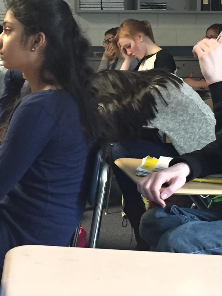 notmeganho's tweet photo. #mnpassouts http://t.co/zuKPN3ztKK