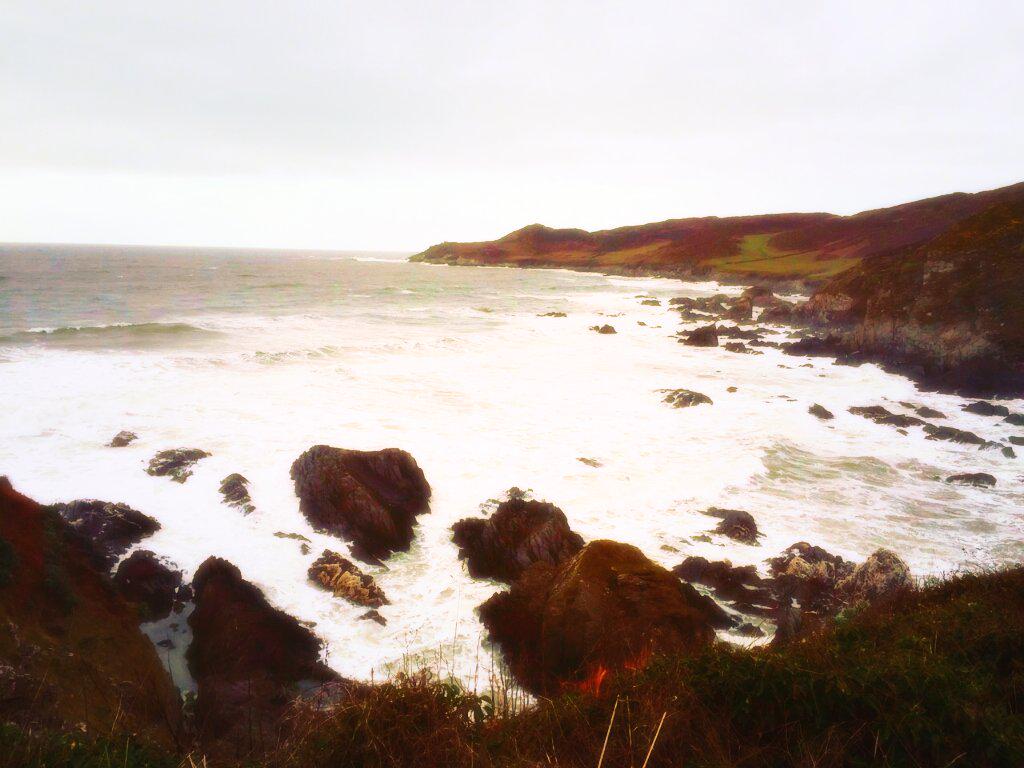 clbradders's tweet photo. Who's loving being home? #prouddevonian http://t.co/RKLDxkgF3o