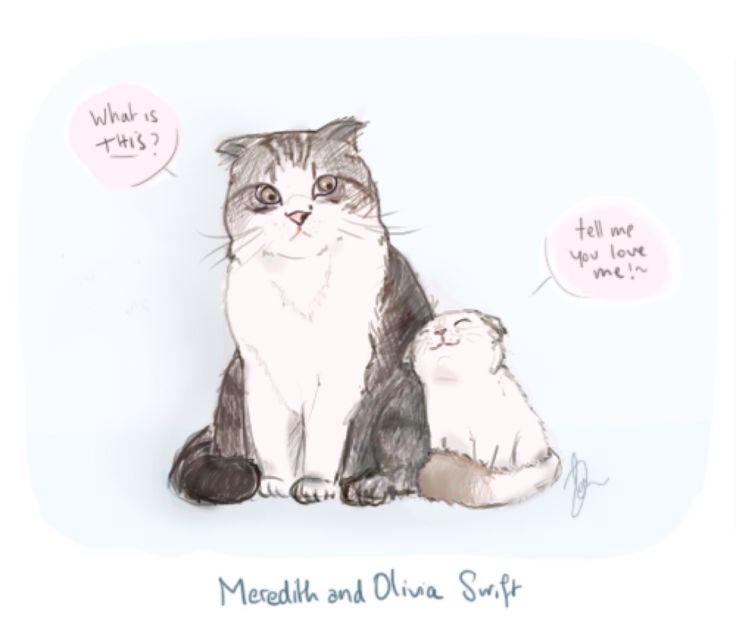 TaylorSMM's tweet image. why have a man when you have cats?