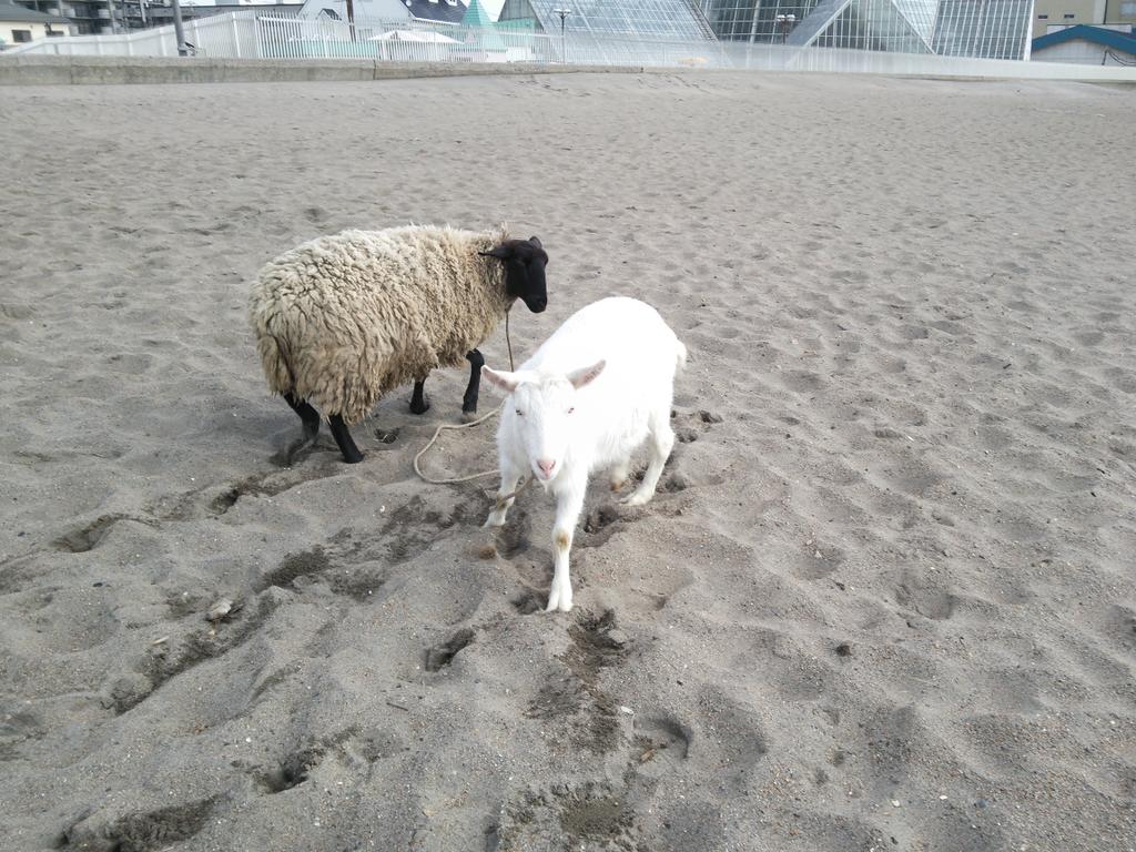 メル 友 サイト